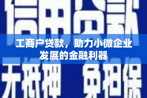 海伦工商户贷款，助力小微企业发展的金融利器