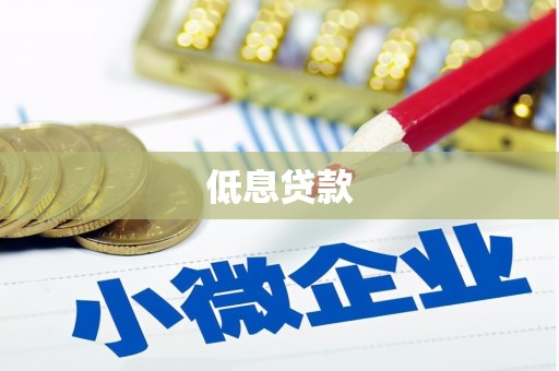 海伦低息贷款