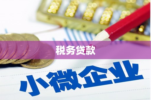海伦税务贷款