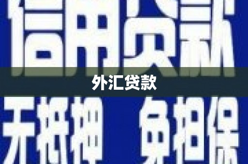 海伦外汇贷款