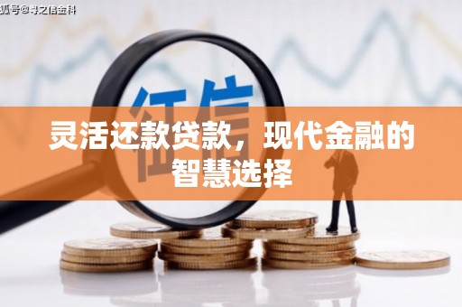 海伦灵活还款贷款，现代金融的智慧选择