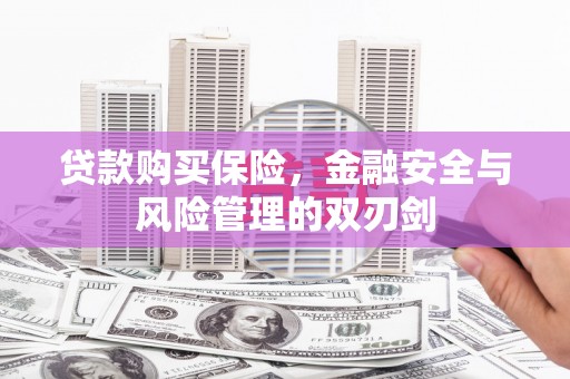海伦贷款购买保险，金融安全与风险管理的双刃剑