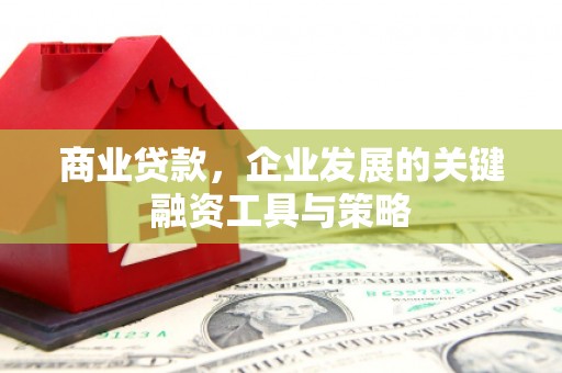 海伦商业贷款，企业发展的关键融资工具与策略