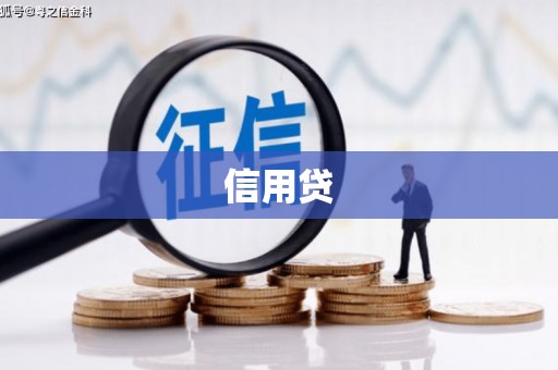 海伦信用贷