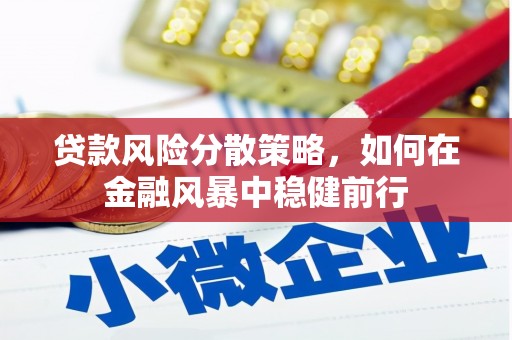 海伦贷款风险分散策略，如何在金融风暴中稳健前行