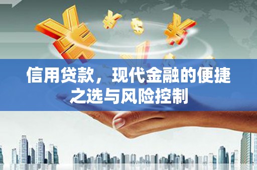 海伦信用贷款，现代金融的便捷之选与风险控制