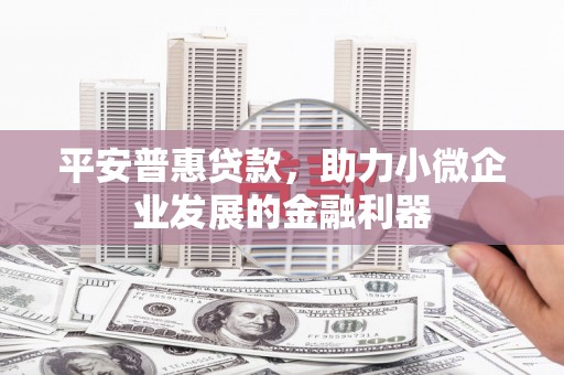 海伦平安普惠贷款，助力小微企业发展的金融利器