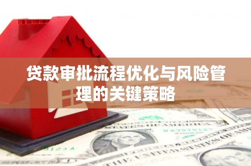 海伦贷款审批流程优化与风险管理的关键策略