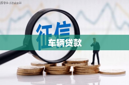 海伦车辆贷款