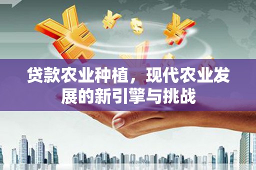 海伦贷款农业种植，现代农业发展的新引擎与挑战