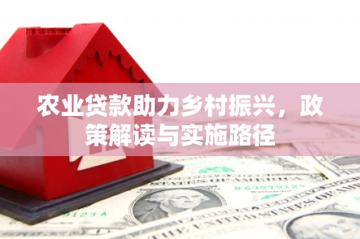 海伦农业贷款助力乡村振兴，政策解读与实施路径
