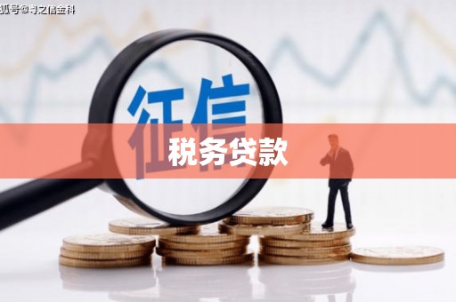 海伦税务贷款
