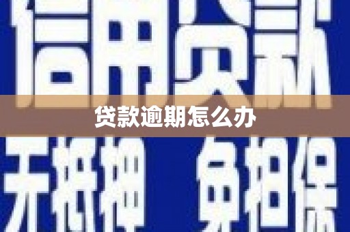 海伦贷款逾期怎么办