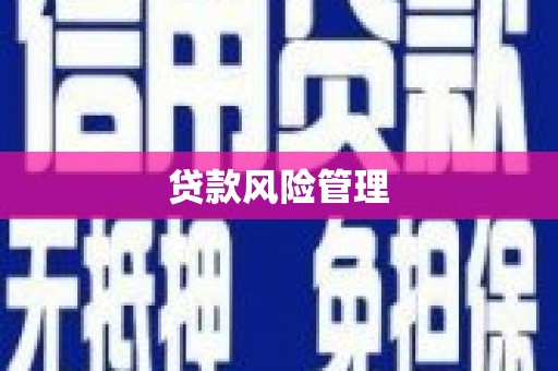 海伦贷款风险管理