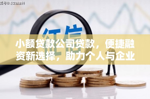 海伦小额贷款公司贷款，便捷融资新选择，助力个人与企业成长