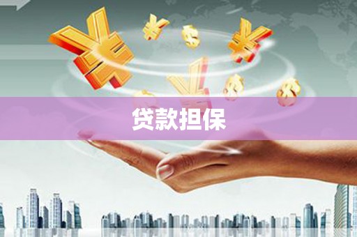 海伦贷款担保
