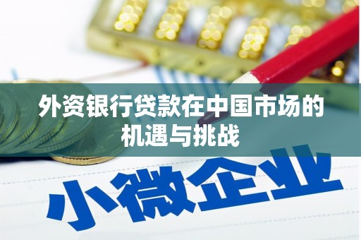海伦外资银行贷款在中国市场的机遇与挑战