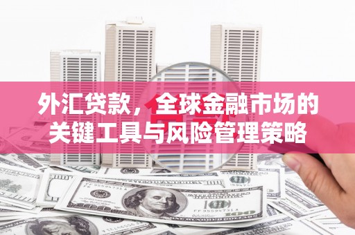 海伦外汇贷款，全球金融市场的关键工具与风险管理策略