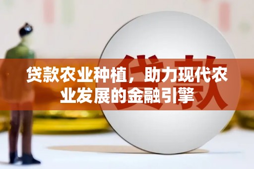 海伦贷款农业种植，助力现代农业发展的金融引擎