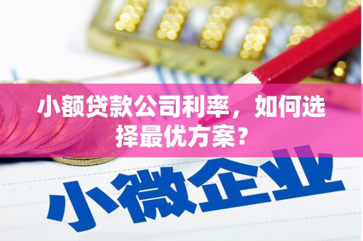 海伦小额贷款公司利率，如何选择最优方案？