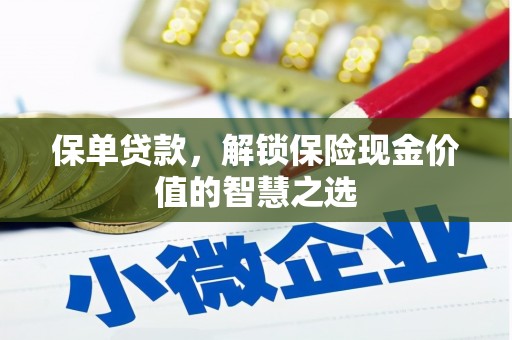 海伦保单贷款，解锁保险现金价值的智慧之选