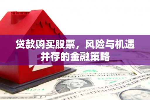 海伦贷款购买股票，风险与机遇并存的金融策略