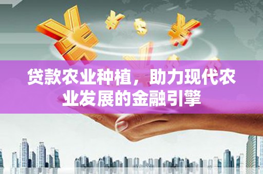 海伦贷款农业种植，助力现代农业发展的金融引擎
