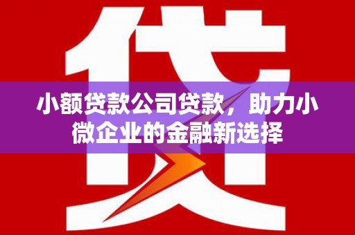 海伦小额贷款公司贷款，助力小微企业的金融新选择
