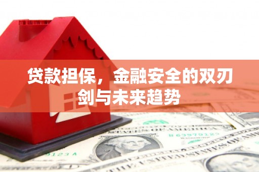 海伦贷款担保，金融安全的双刃剑与未来趋势