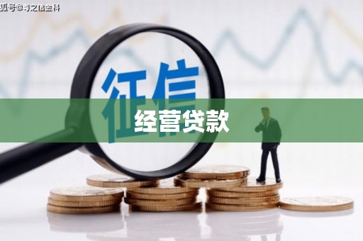 海伦经营贷款