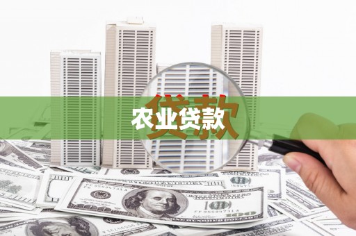 海伦农业贷款