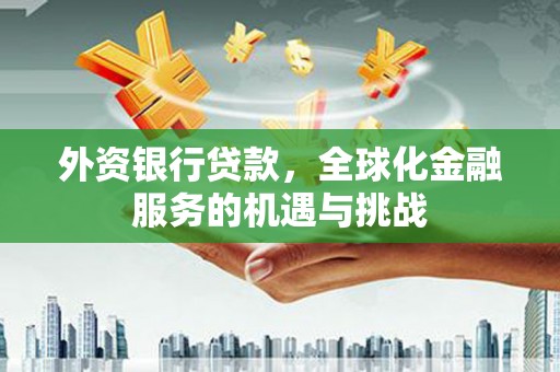 海伦外资银行贷款，全球化金融服务的机遇与挑战
