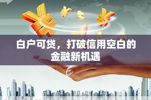海伦白户可贷，打破信用空白的金融新机遇