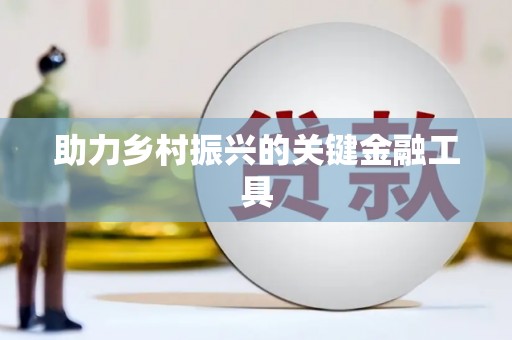 海伦助力乡村振兴的关键金融工具