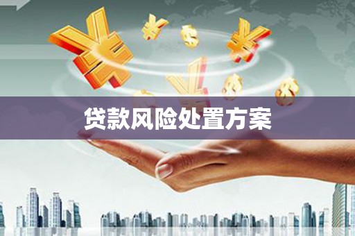 海伦贷款风险处置方案