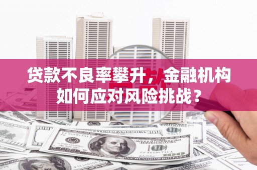 海伦贷款不良率攀升，金融机构如何应对风险挑战？