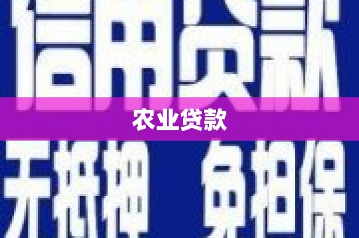 海伦农业贷款