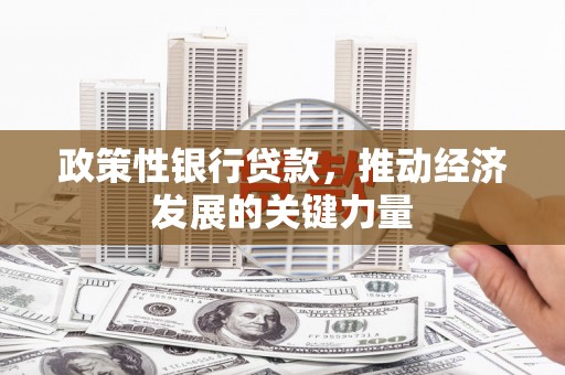 海伦政策性银行贷款，推动经济发展的关键力量