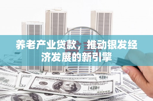 海伦养老产业贷款，推动银发经济发展的新引擎