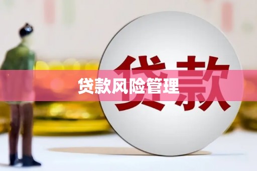 海伦贷款风险管理