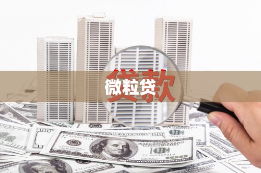 海伦微粒贷