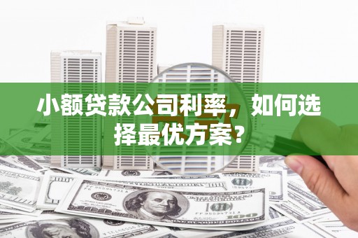海伦小额贷款公司利率，如何选择最优方案？