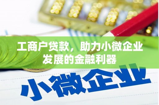 海伦工商户贷款，助力小微企业发展的金融利器