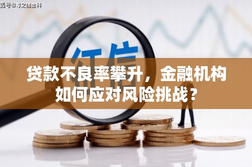 海伦贷款不良率攀升，金融机构如何应对风险挑战？