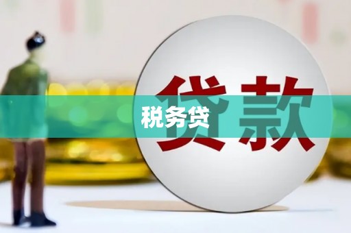 海伦税务贷