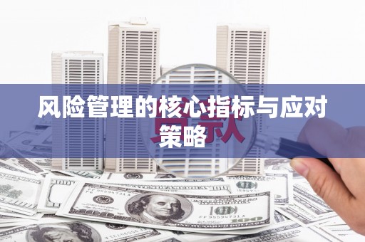 海伦风险管理的核心指标与应对策略