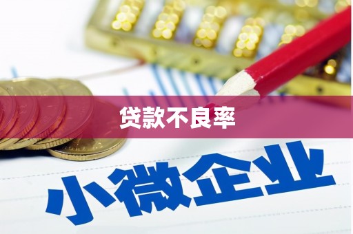 海伦贷款不良率