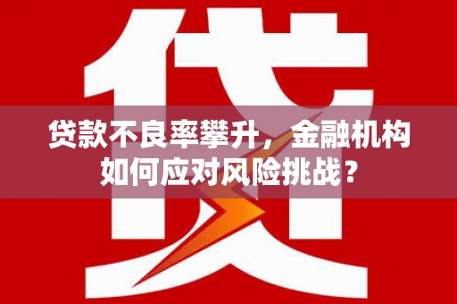 海伦贷款不良率攀升，金融机构如何应对风险挑战？