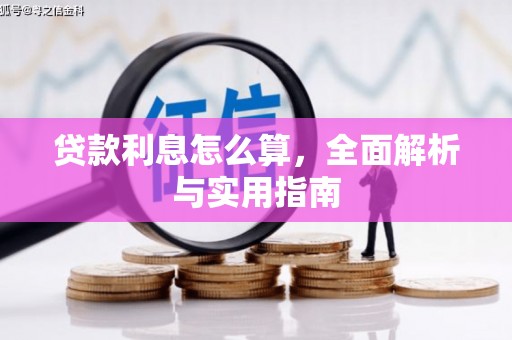 海伦贷款利息怎么算，全面解析与实用指南