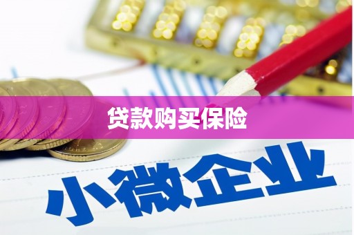 海伦贷款购买保险